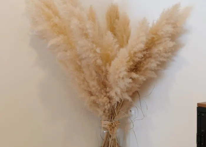 Souplex Proche De Pont-audemer 3* Colletot